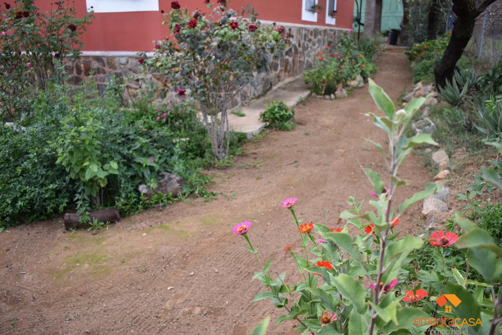 For sale of  in Don Álvaro