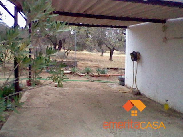 For sale of  in Don Álvaro
