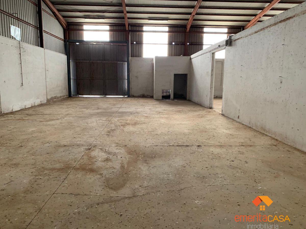 For rent of industrial plant/warehouse in Mérida