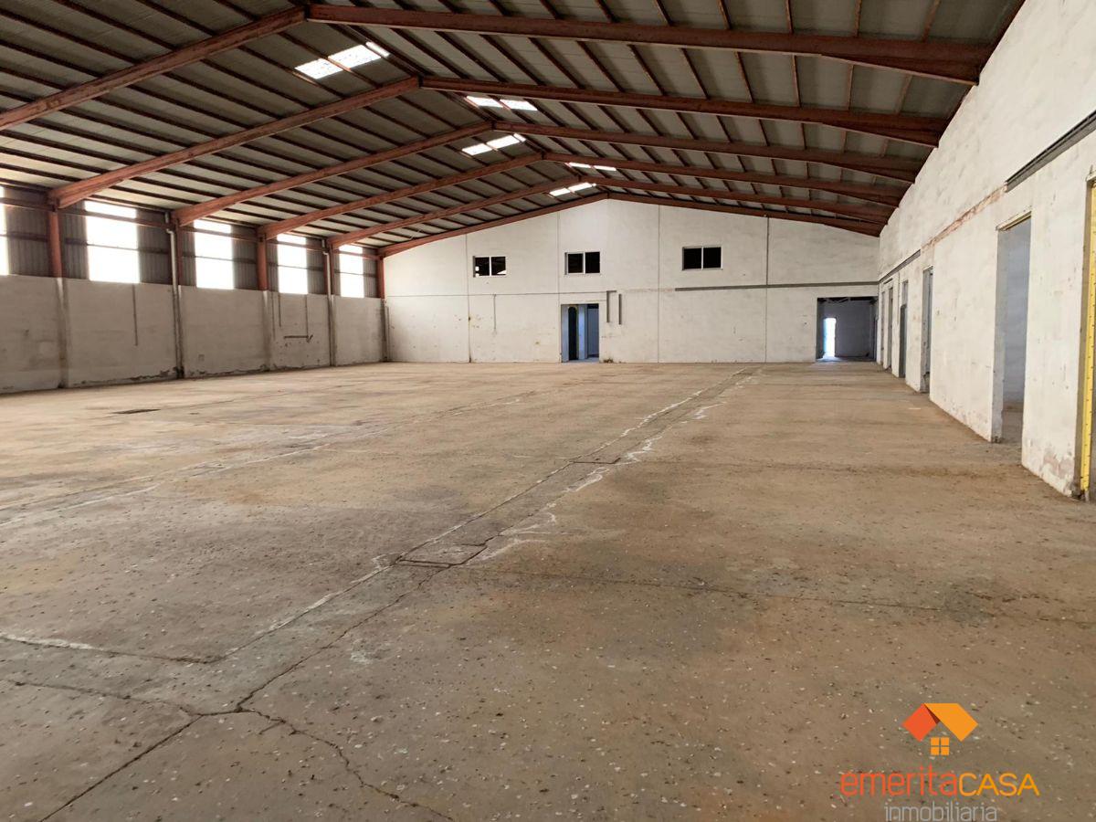 For rent of industrial plant/warehouse in Mérida