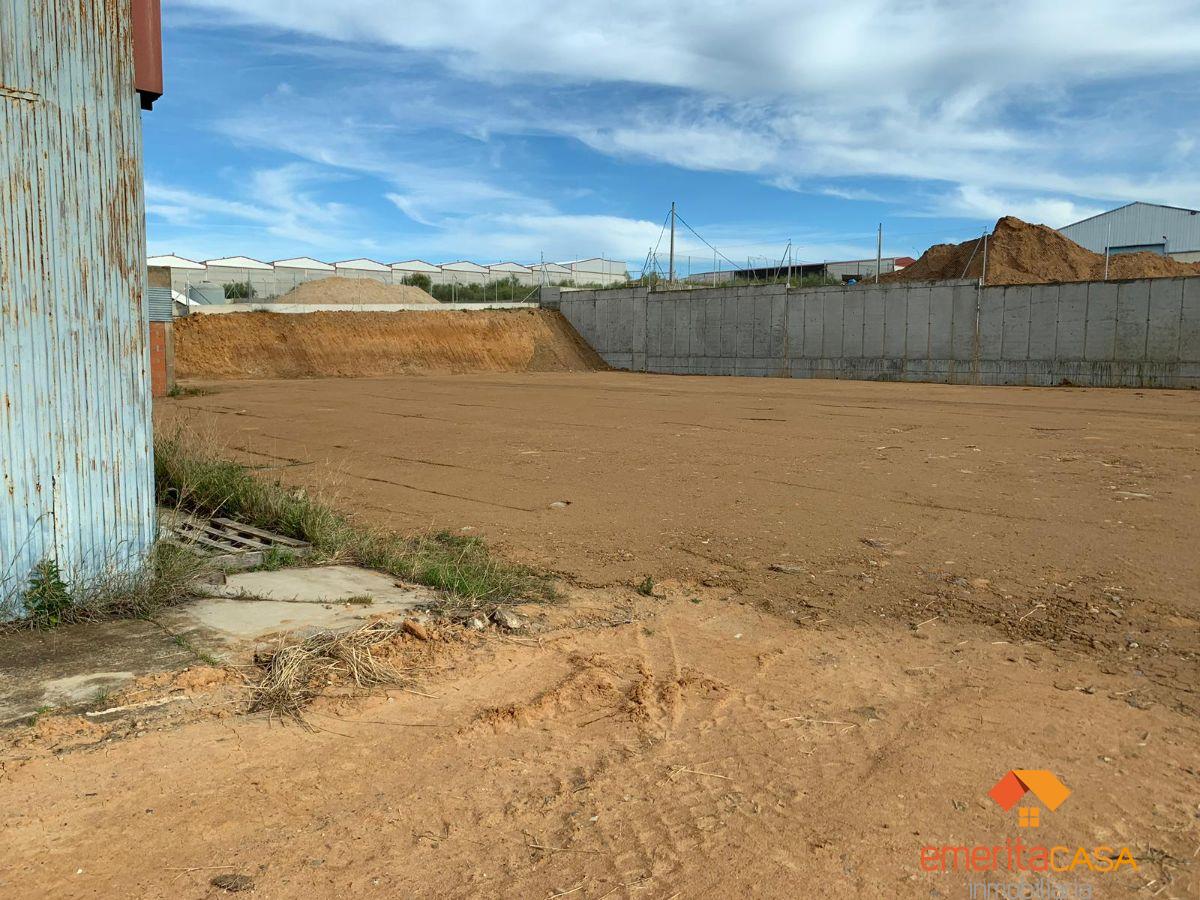 For rent of industrial plant/warehouse in Mérida