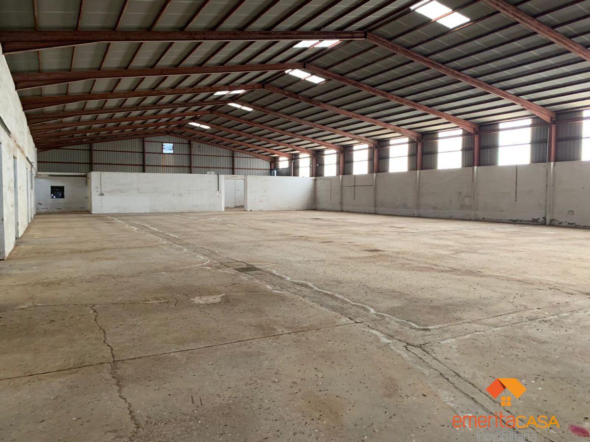 For rent of industrial plant/warehouse in Mérida