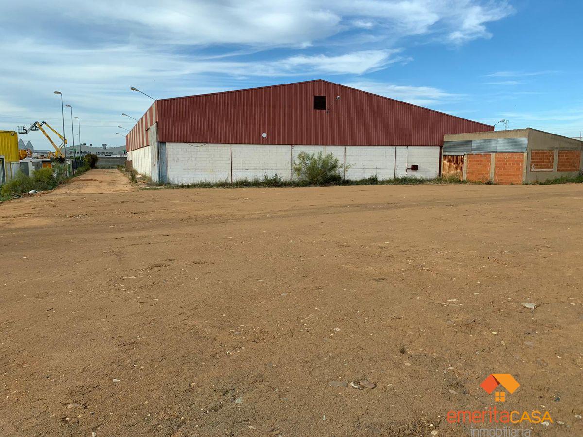 For rent of industrial plant/warehouse in Mérida
