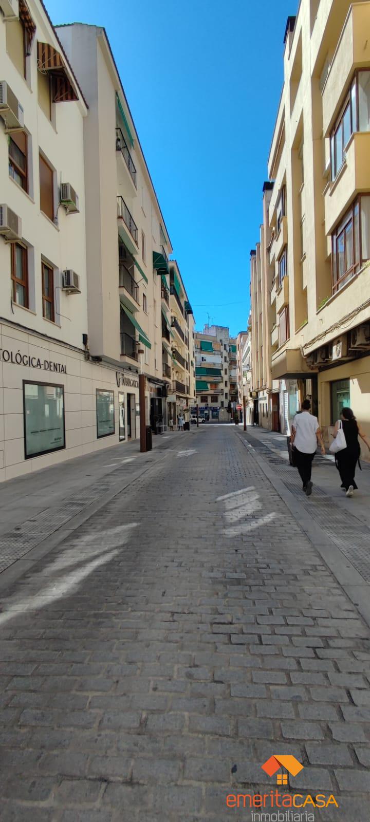 Alquiler de local comercial en Mérida