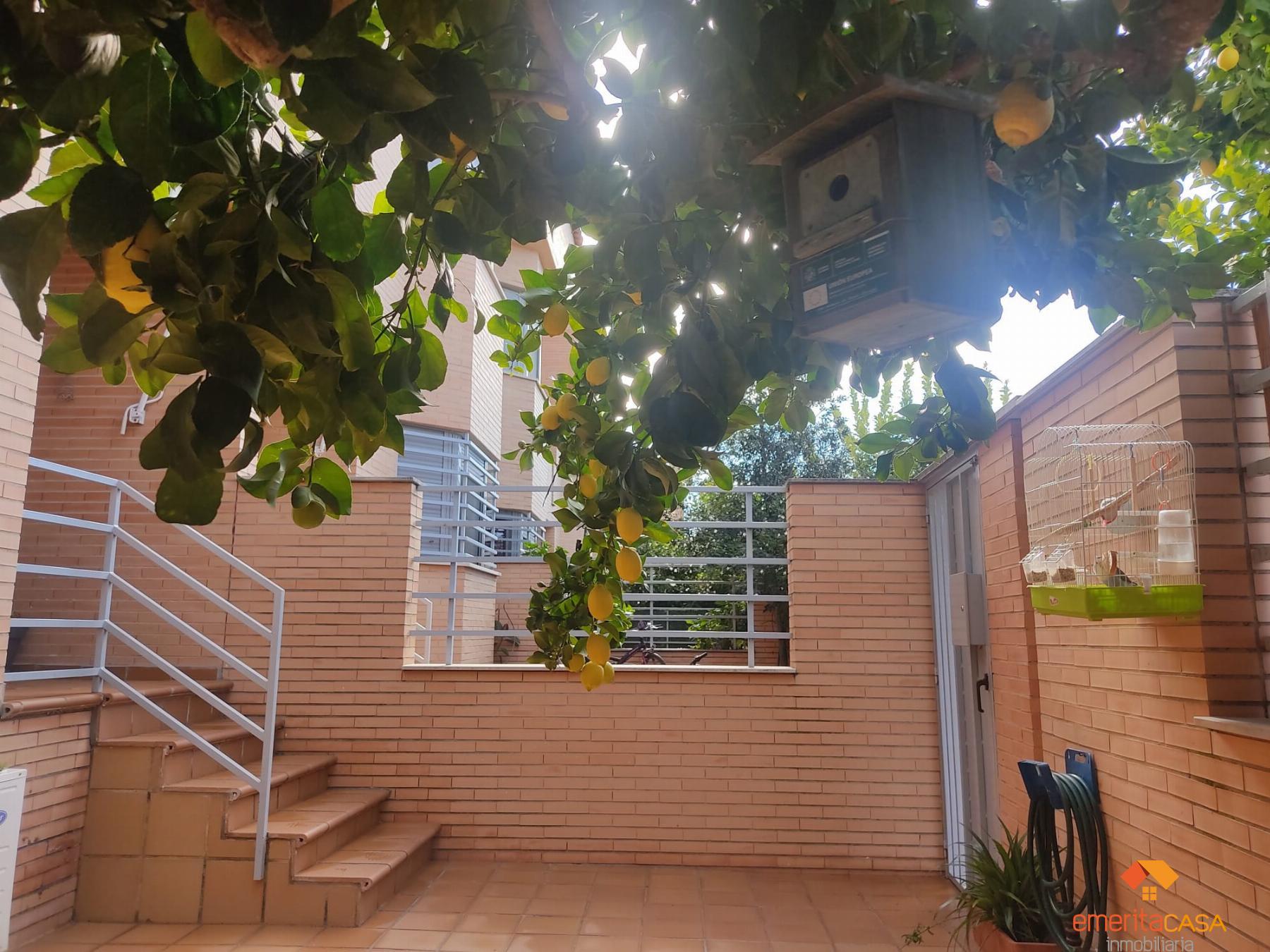 For sale of chalet in Mérida