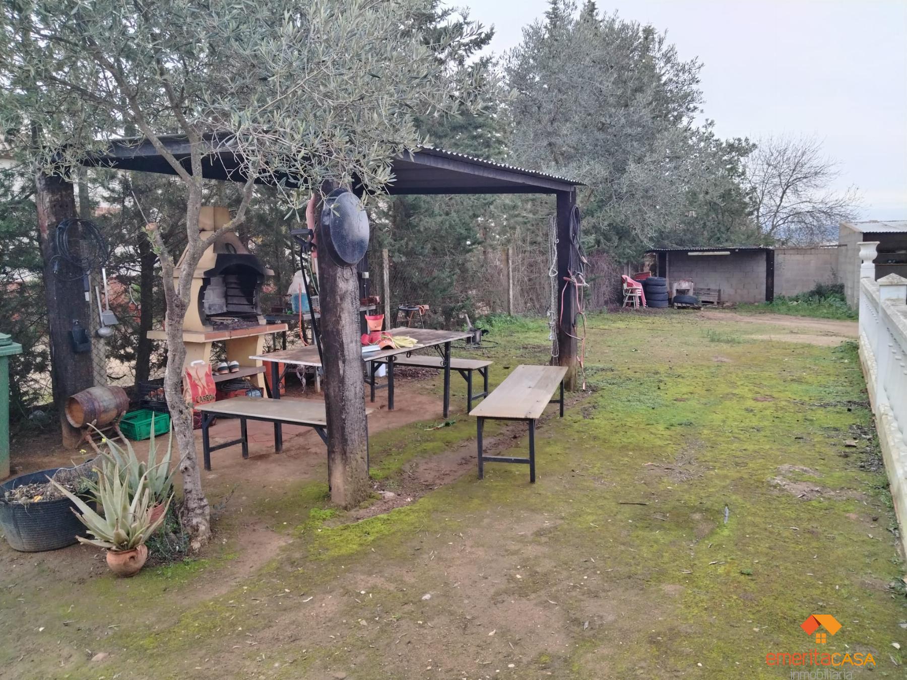 Venta de finca rústica en Don Álvaro