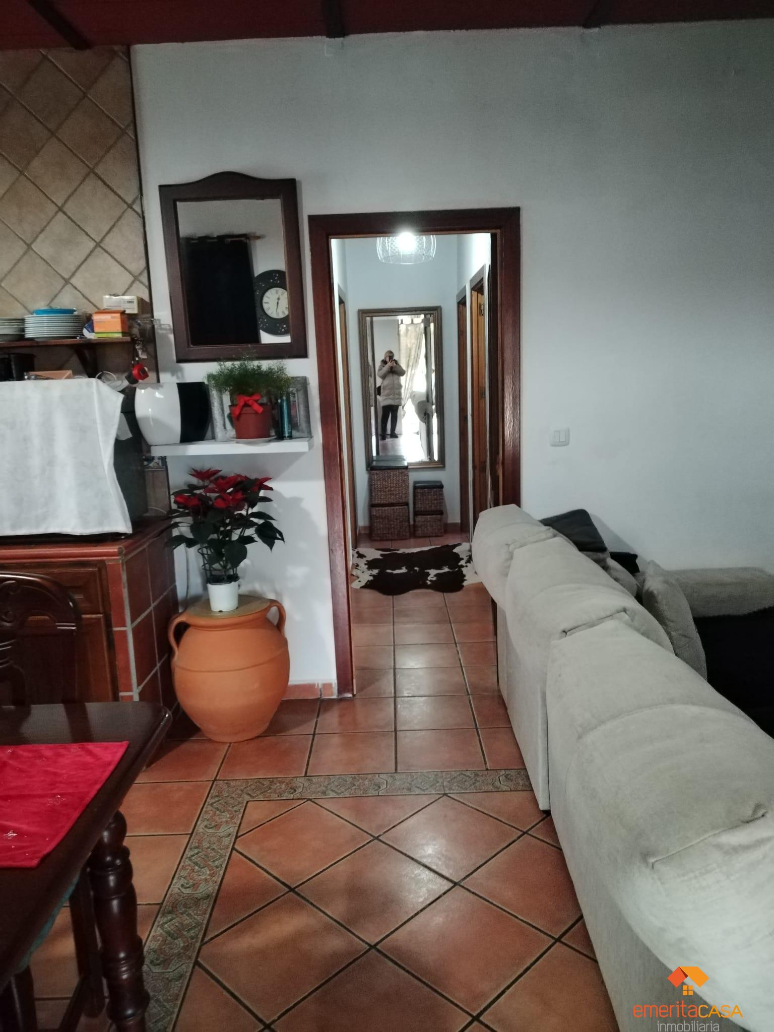 Venta de finca rústica en Don Álvaro