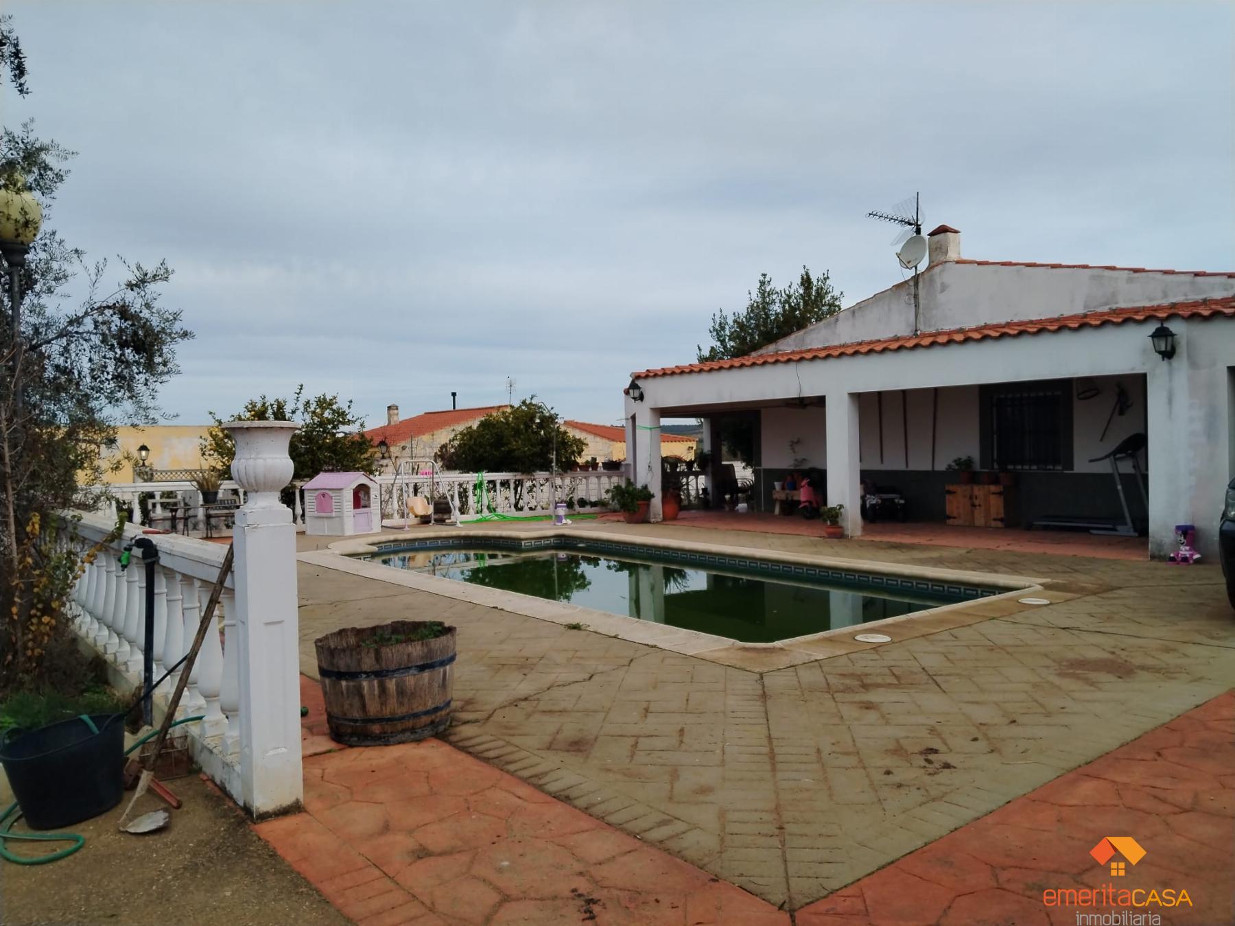 Venta de finca rústica en Don Álvaro