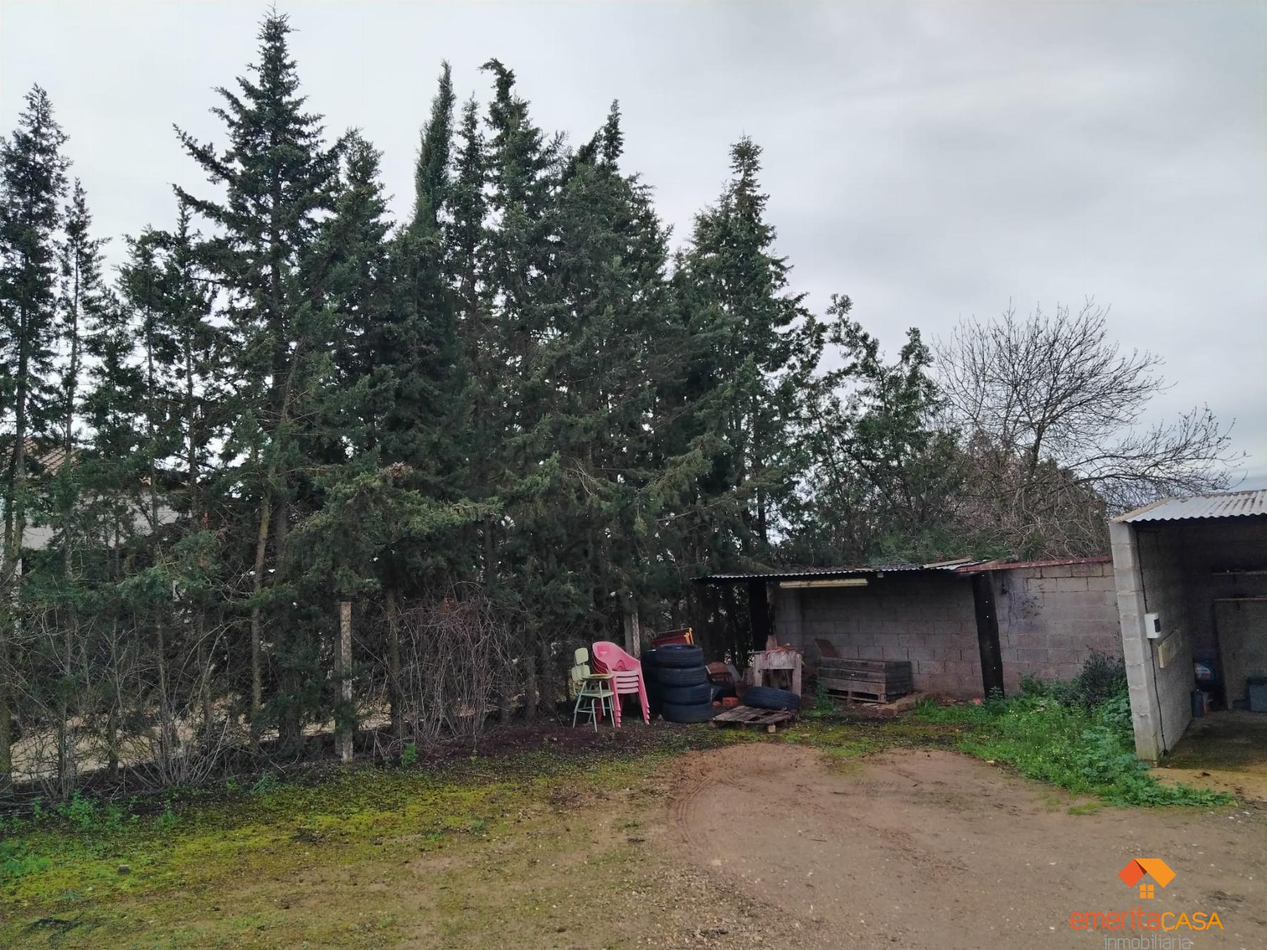 Venta de finca rústica en Don Álvaro