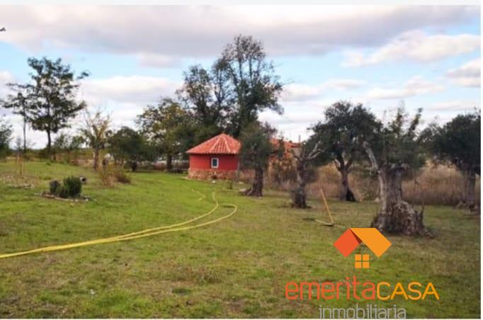 Venta de finca rústica en Mérida