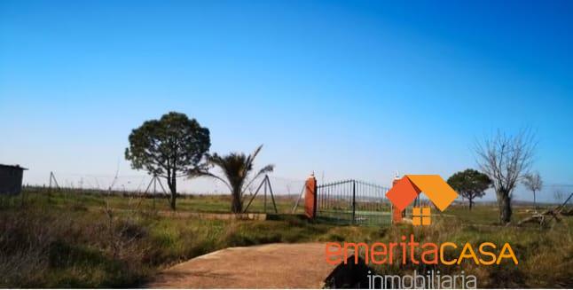 For sale of rural property in Mérida