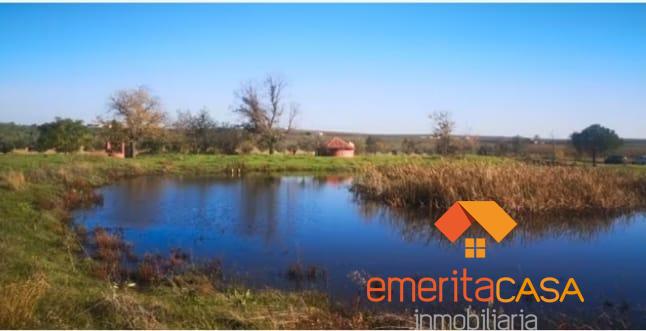 For sale of rural property in Mérida