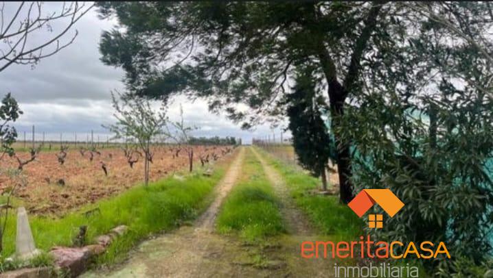 Venta de finca de recreo en Mirandilla