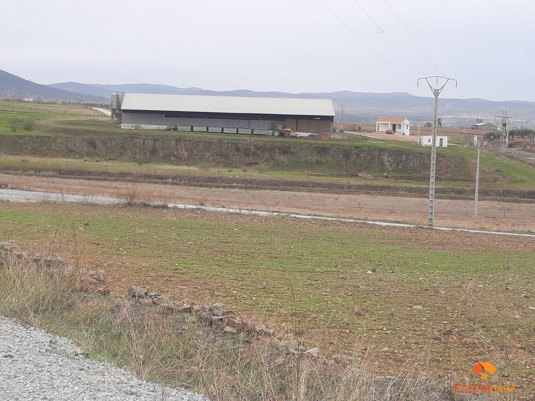 For sale of rural property in Castuera