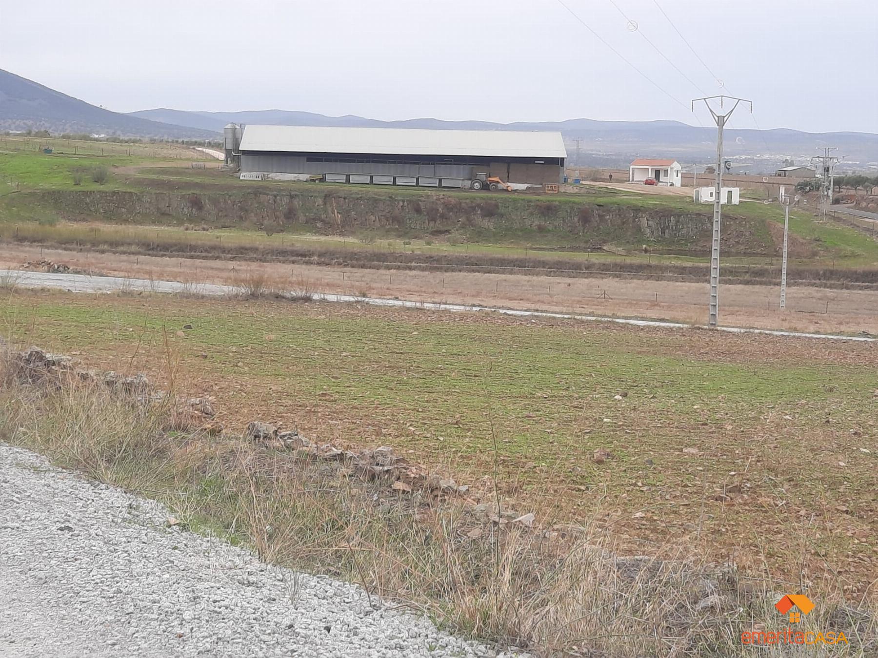 For sale of rural property in Castuera