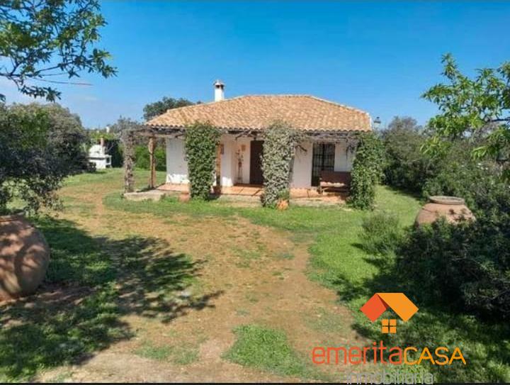 For sale of rural property in Calamonte
