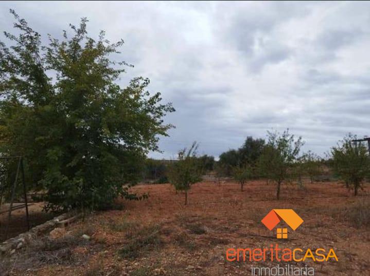 For sale of flat in Mérida