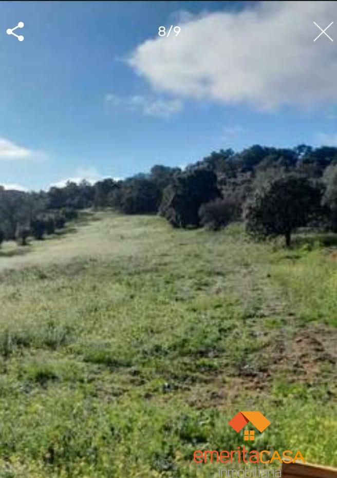 For sale of land in Mérida