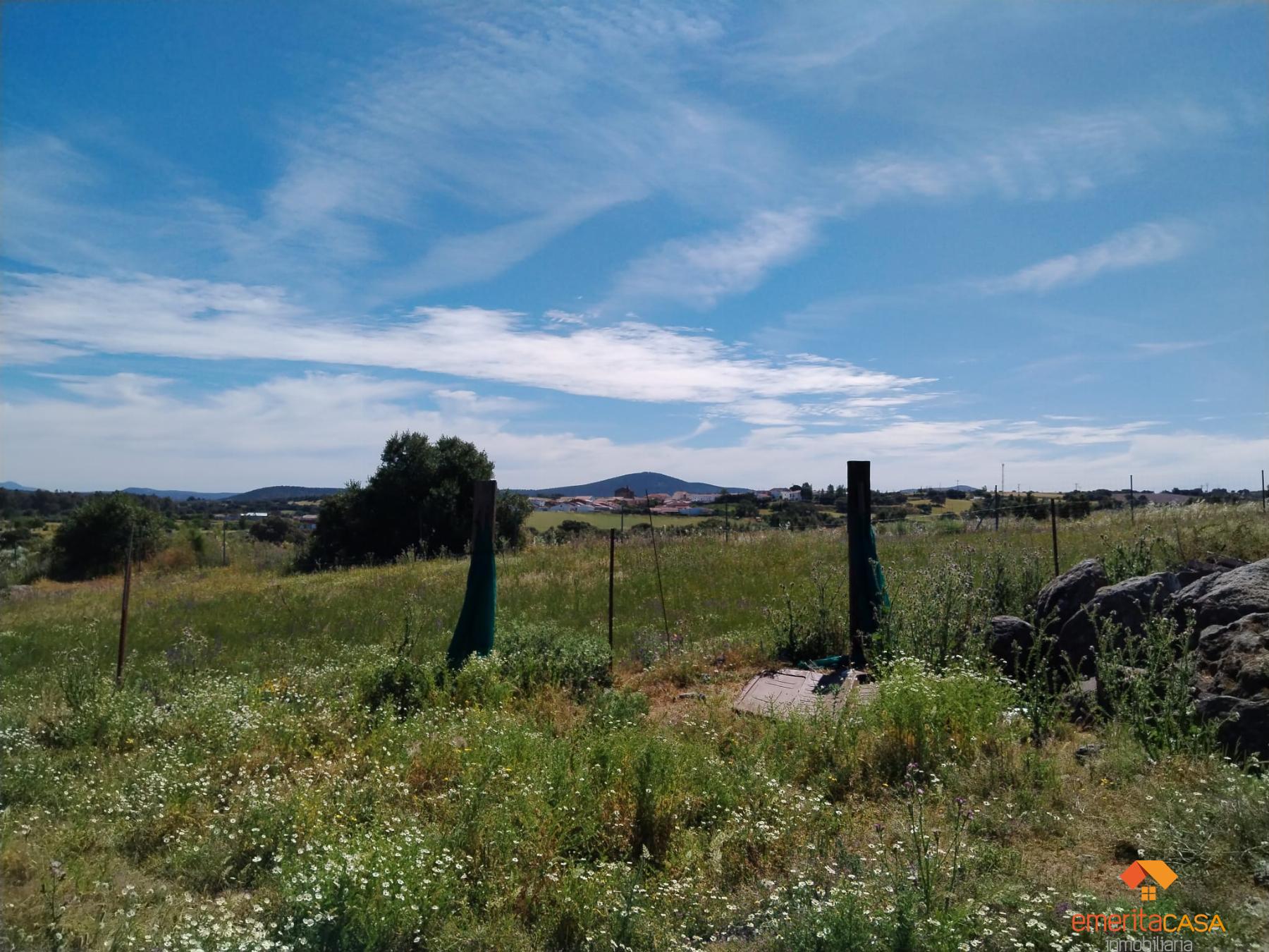 Venta de terreno en Aljucén