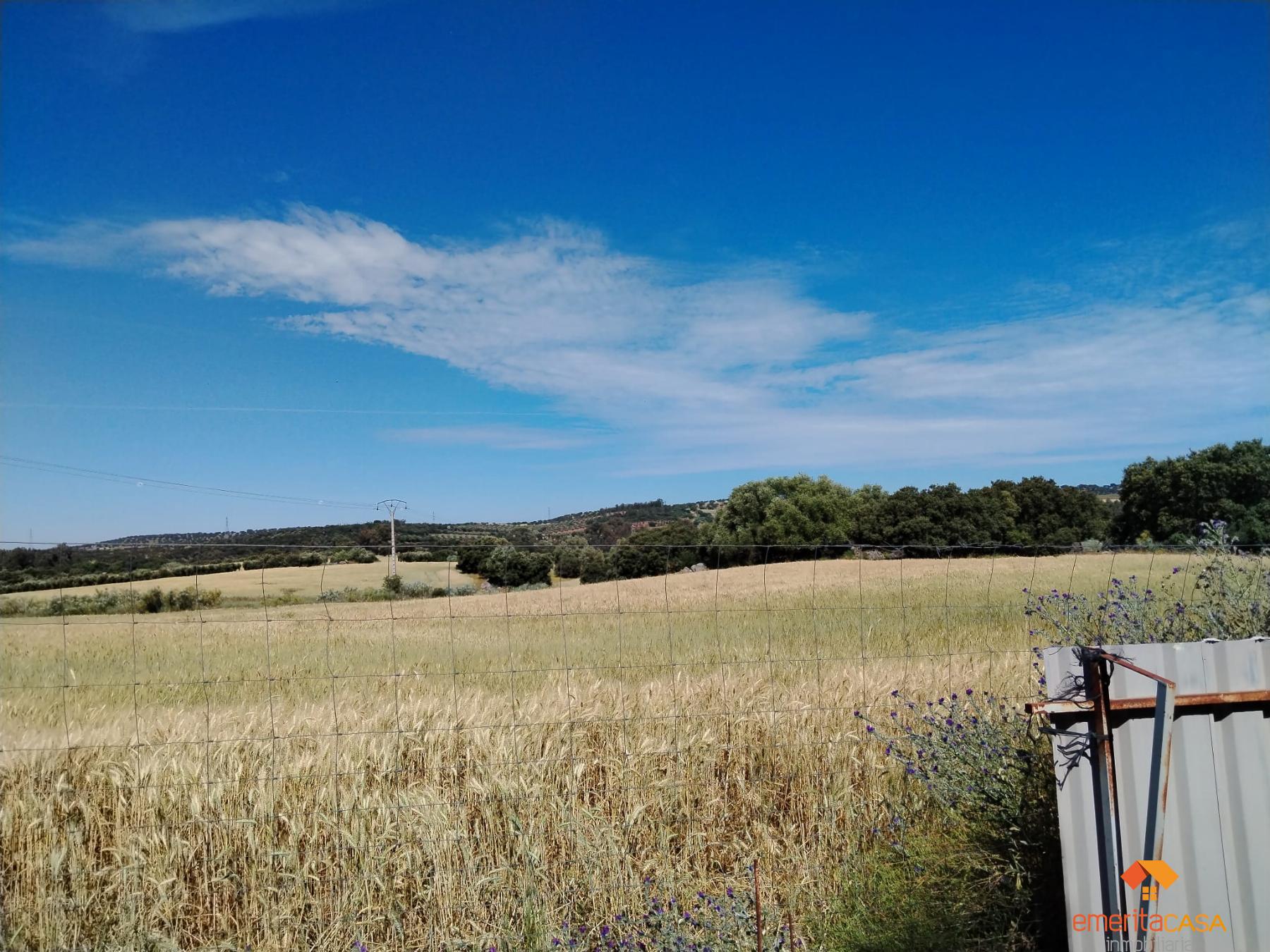 Venta de terreno en Aljucén
