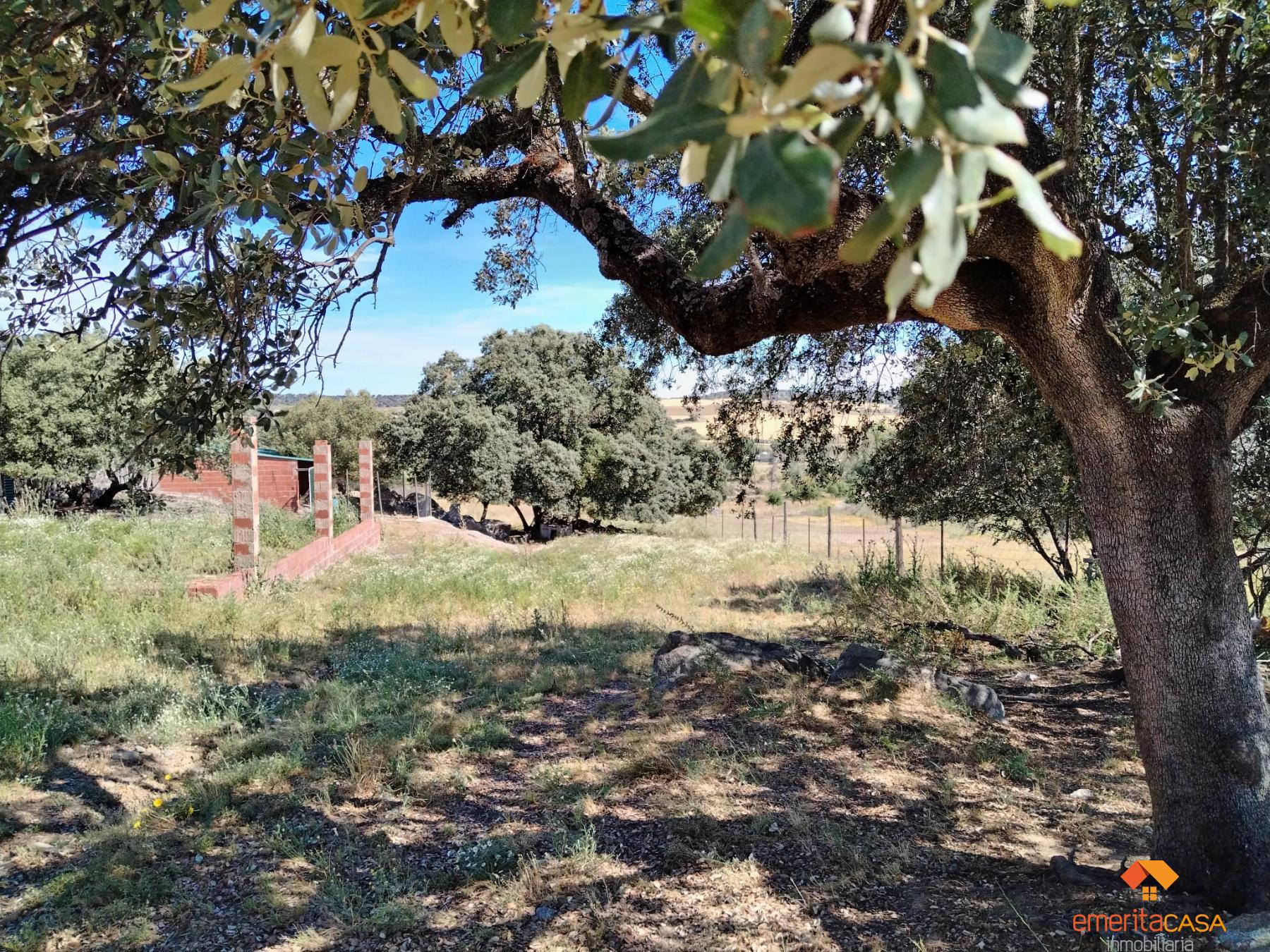 Venta de terreno en Aljucén