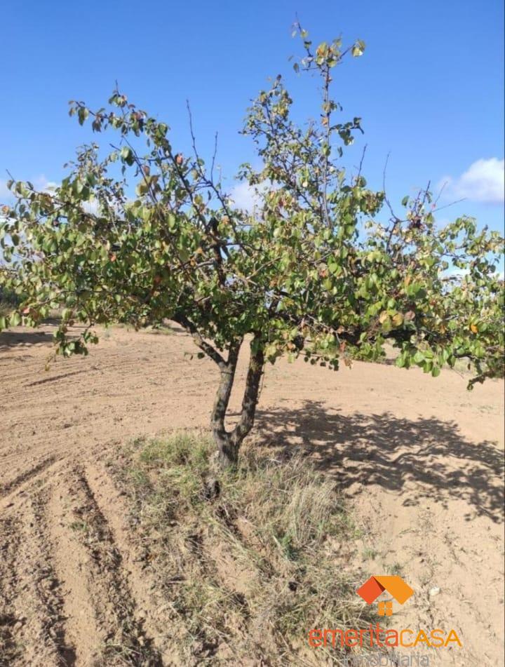 For sale of land in Mérida