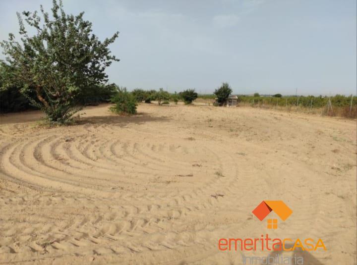 For sale of land in Mérida