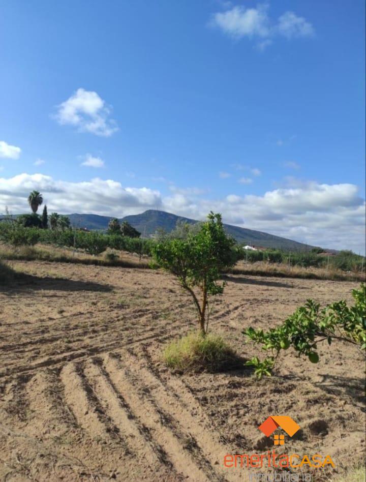 For sale of land in Mérida