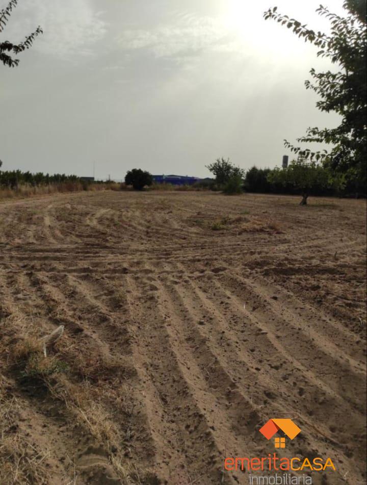 For sale of land in Mérida