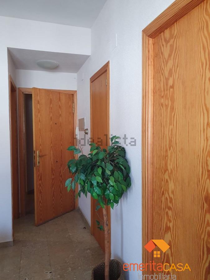 For rent of apartment in Mérida