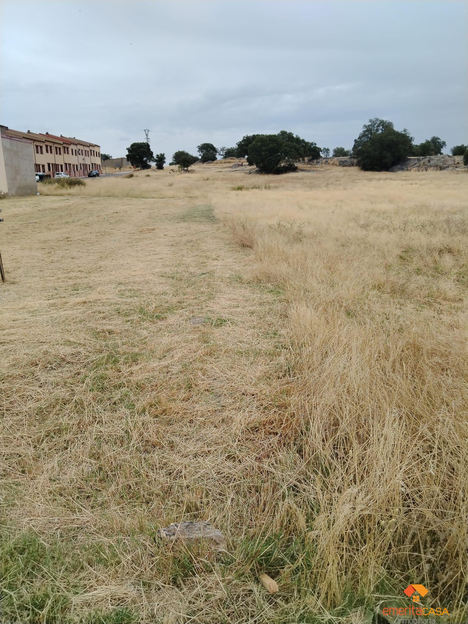 For sale of land in Mérida