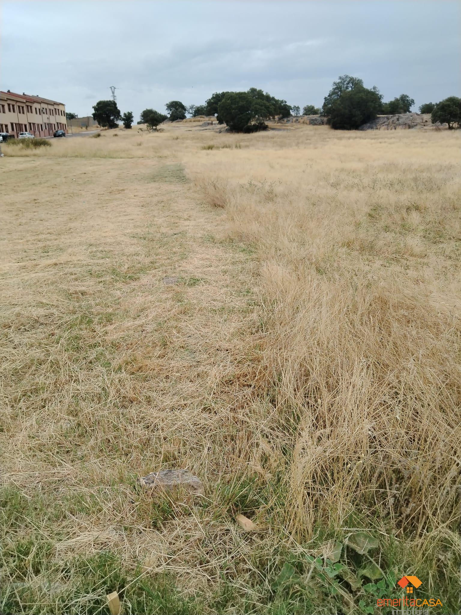 For sale of land in Mérida