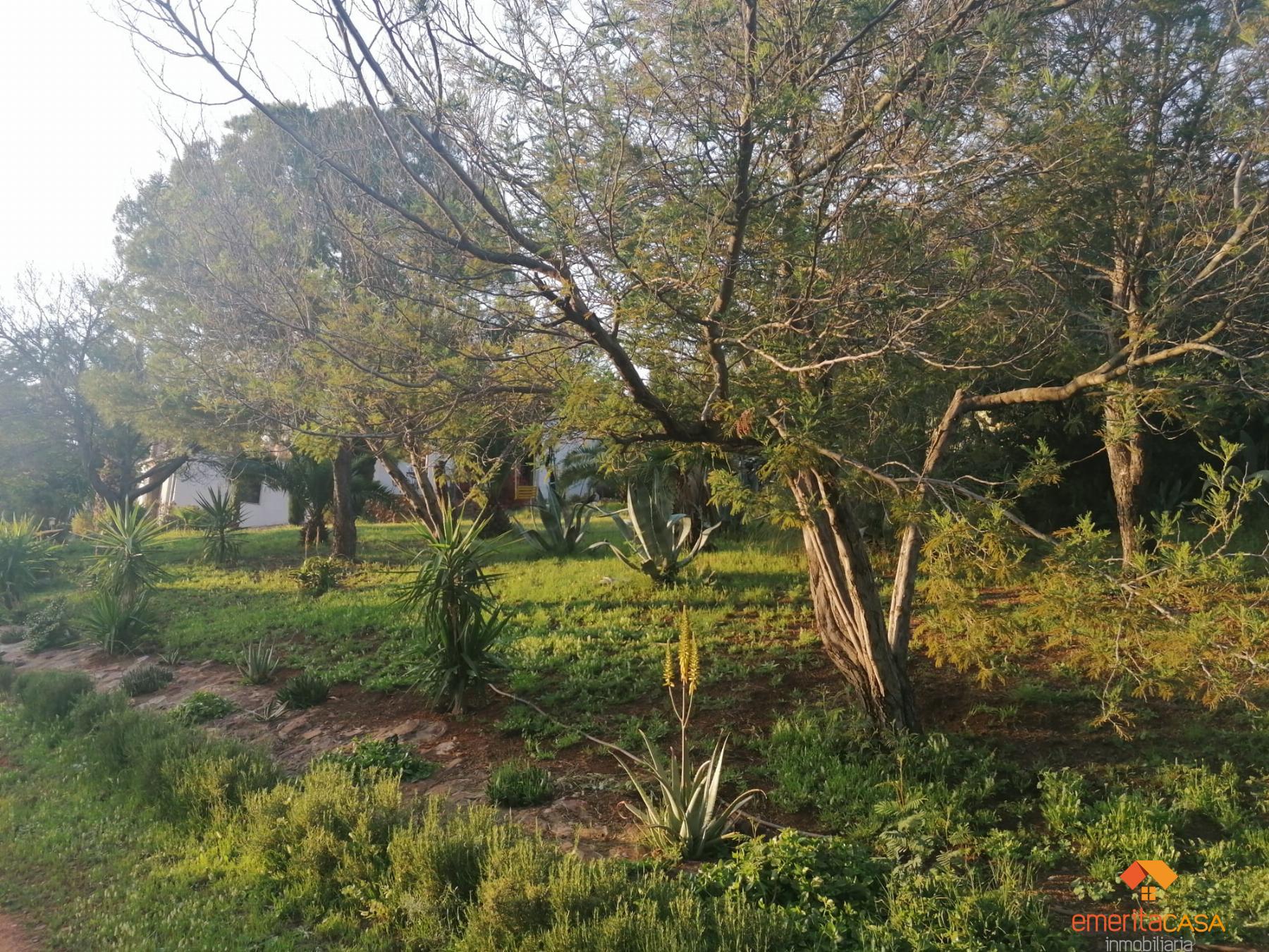 For sale of rural property in Mérida