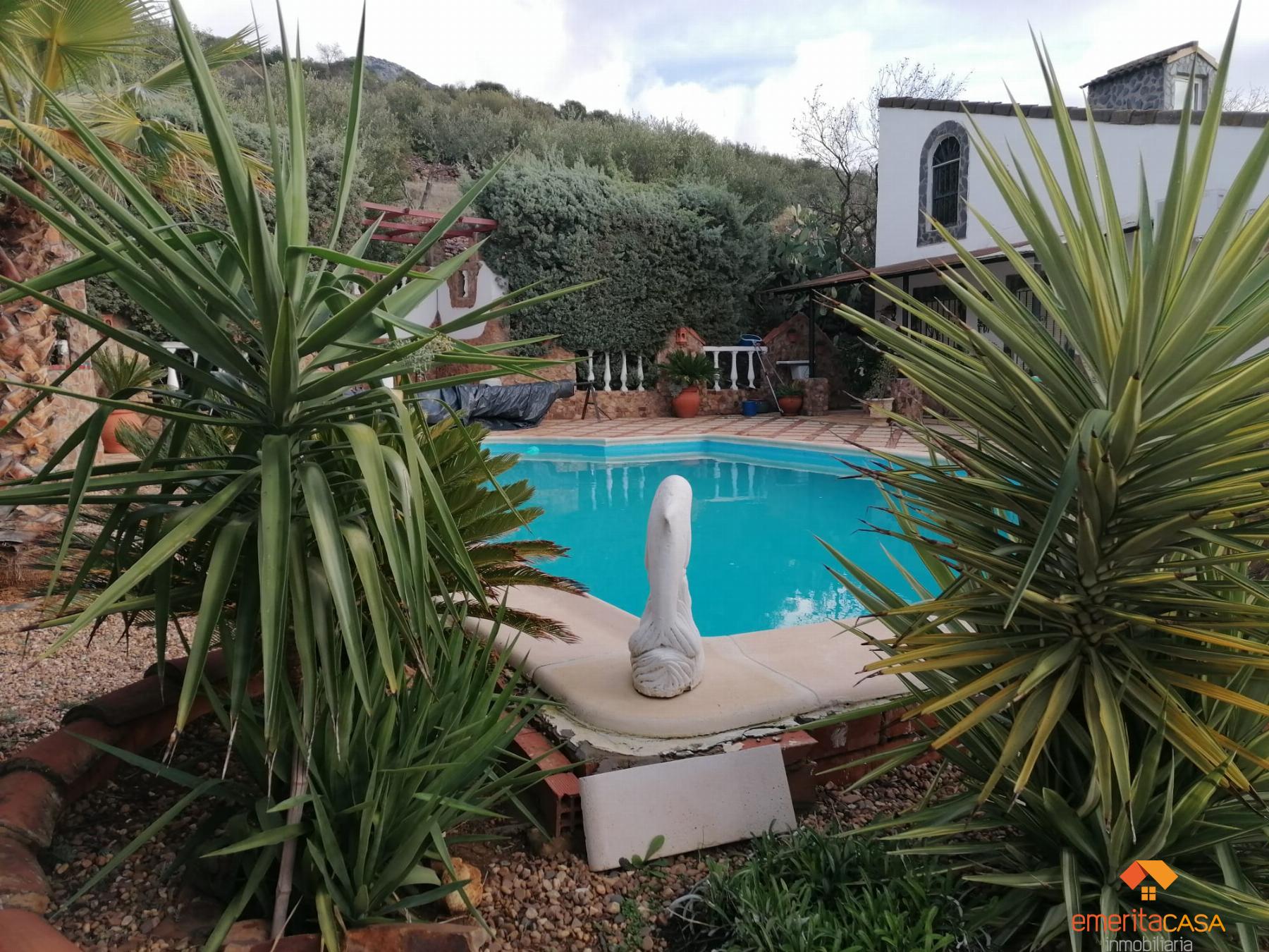 For sale of rural property in Mérida