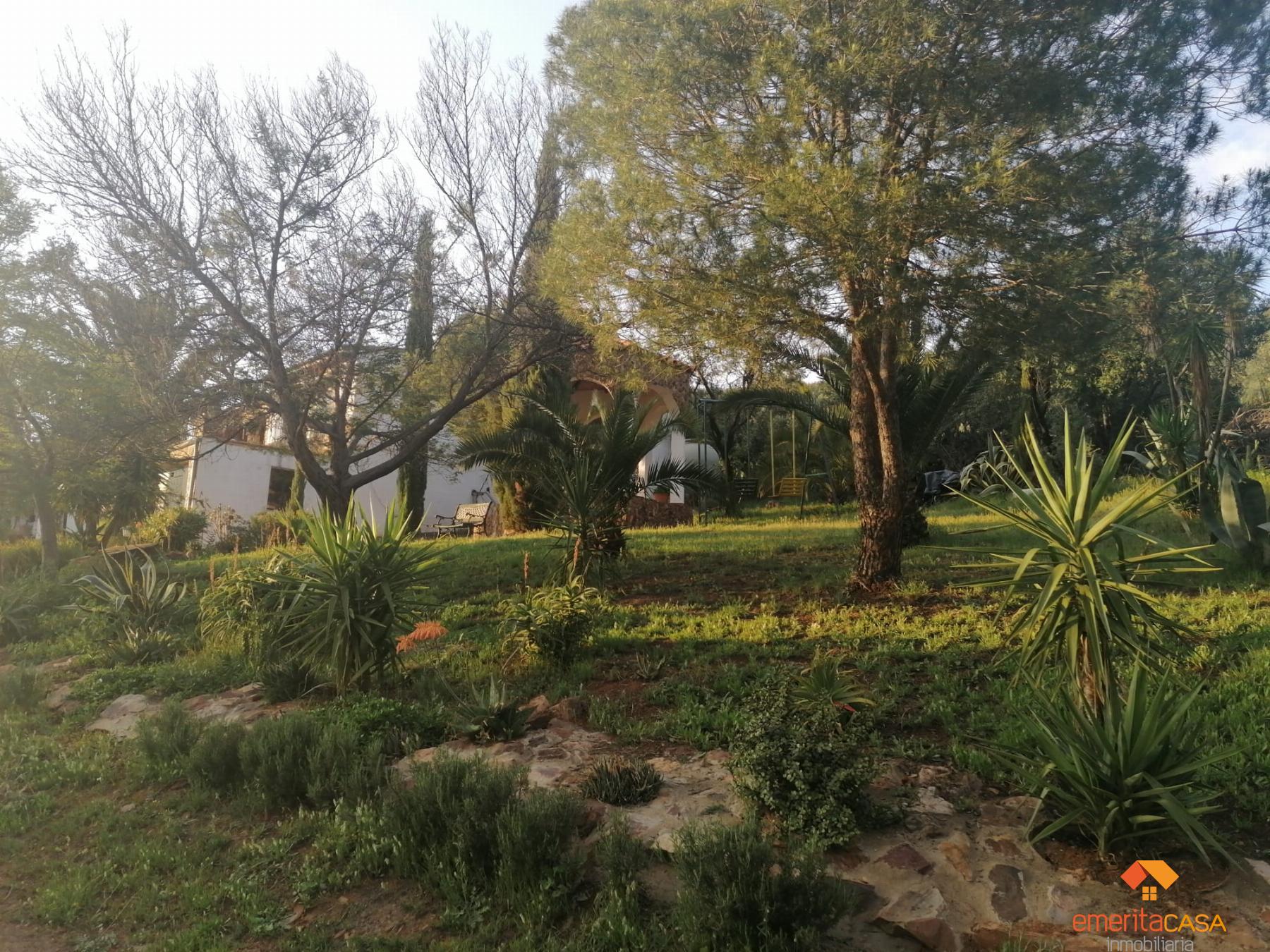 For sale of rural property in Mérida