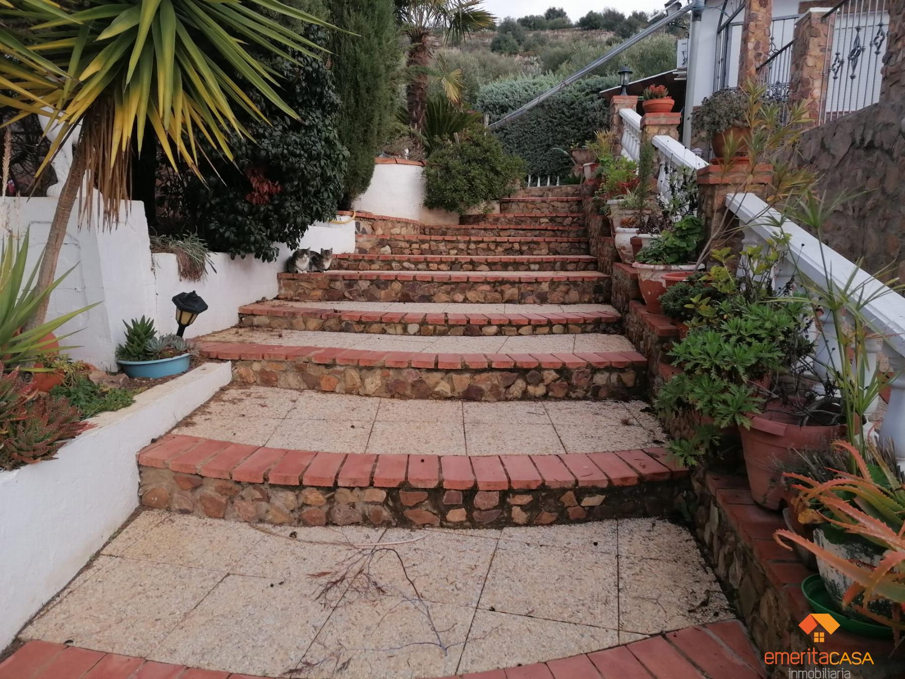 For sale of rural property in Mérida