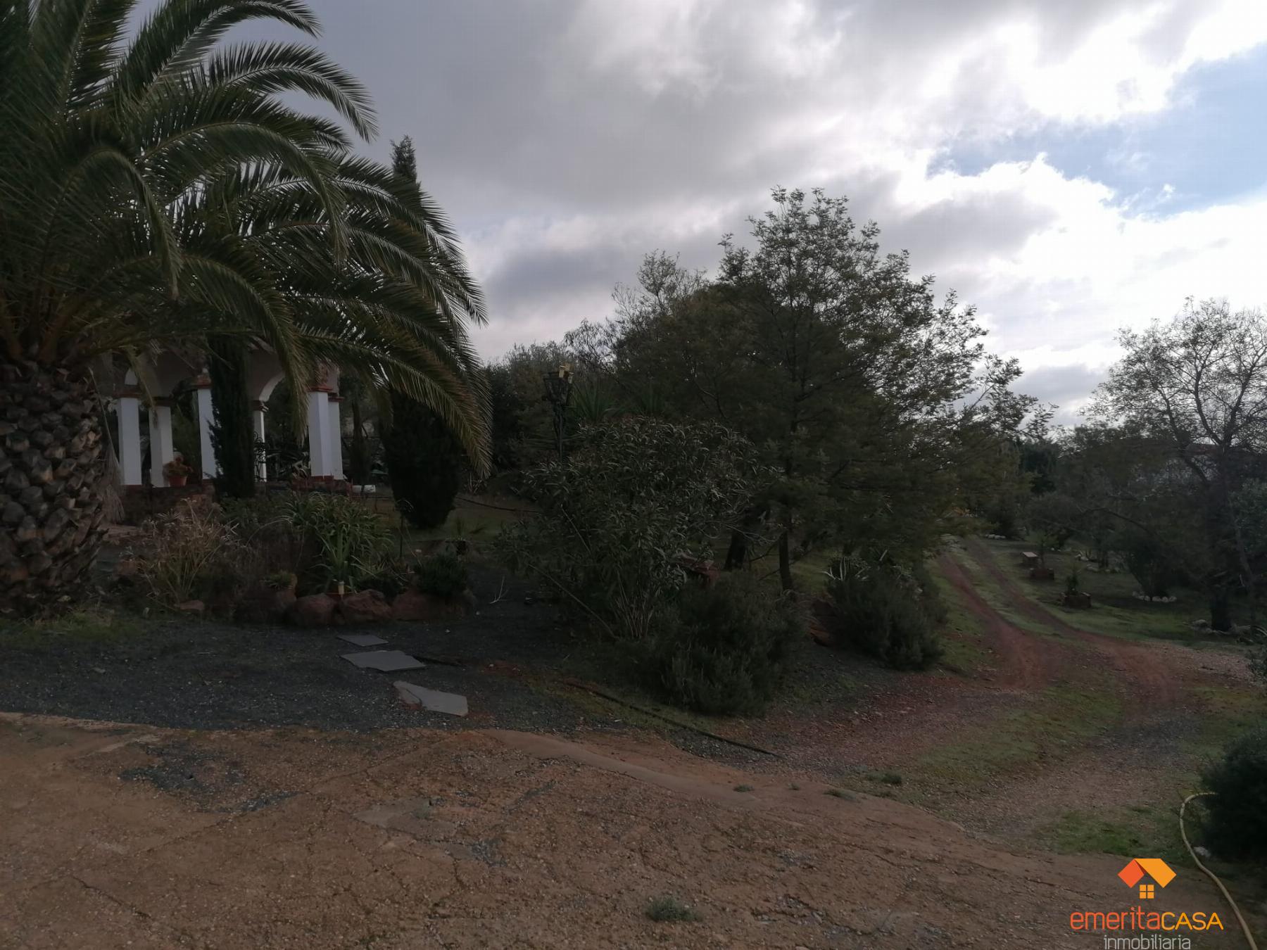 For sale of rural property in Mérida