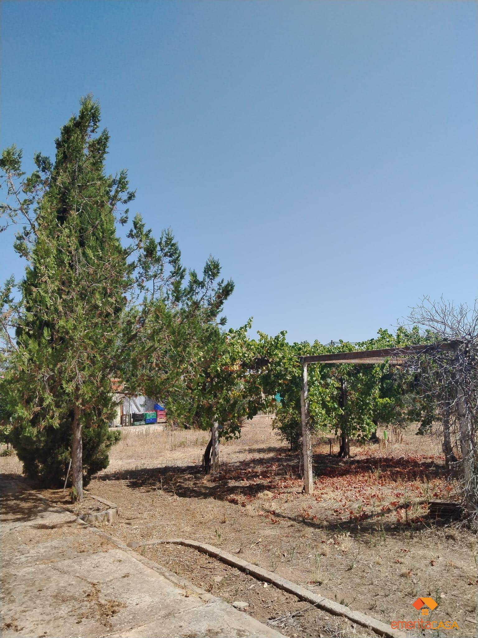 For sale of recreation property in Guareña