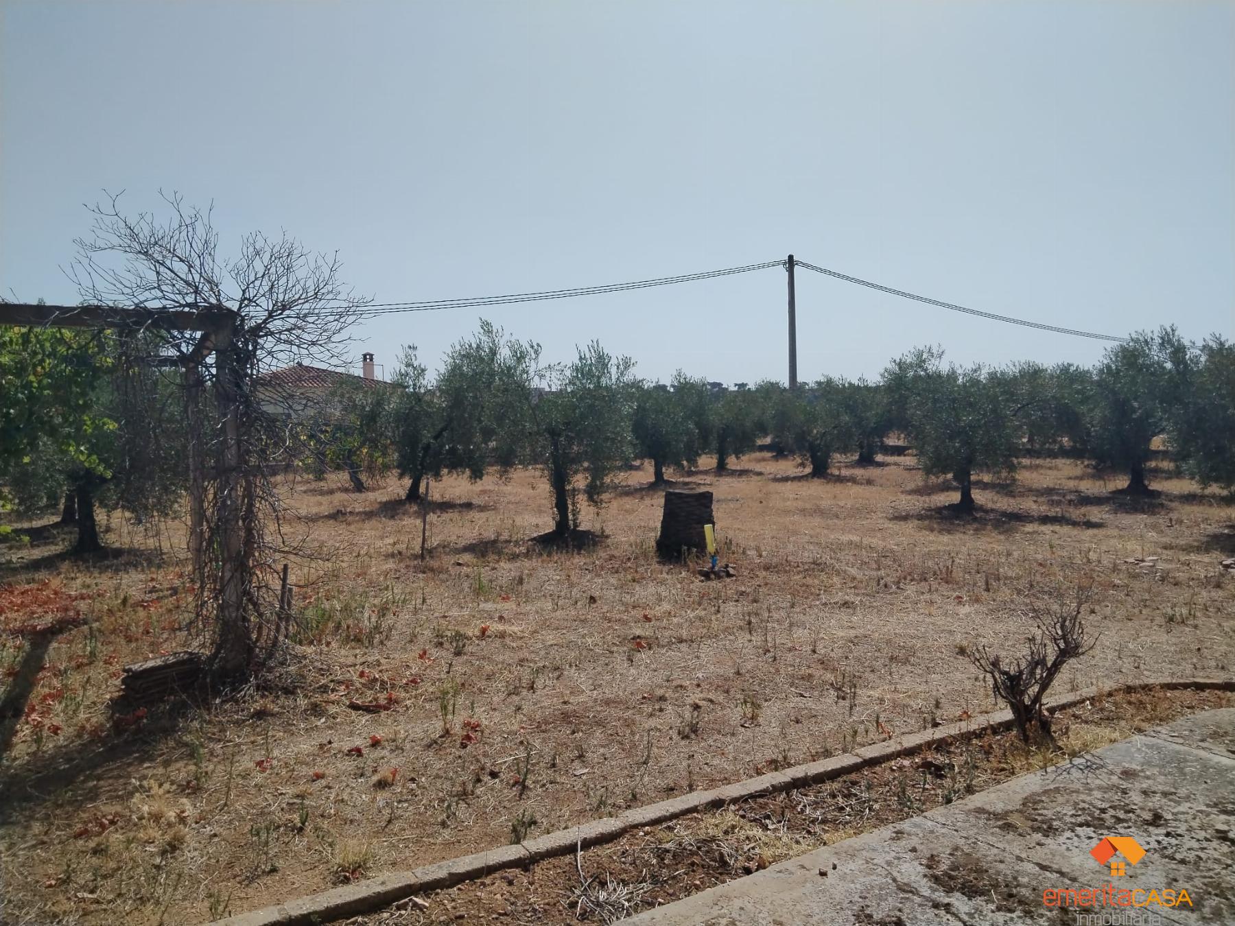 For sale of recreation property in Guareña