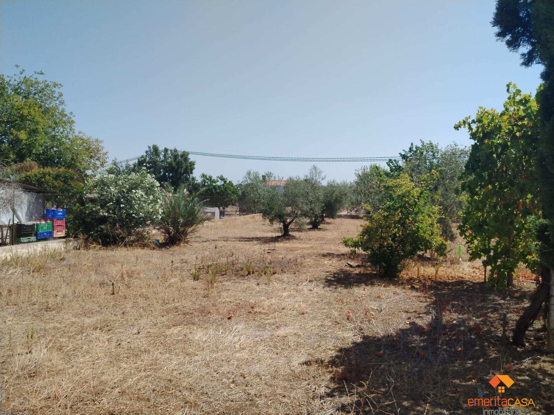 For sale of recreation property in Guareña