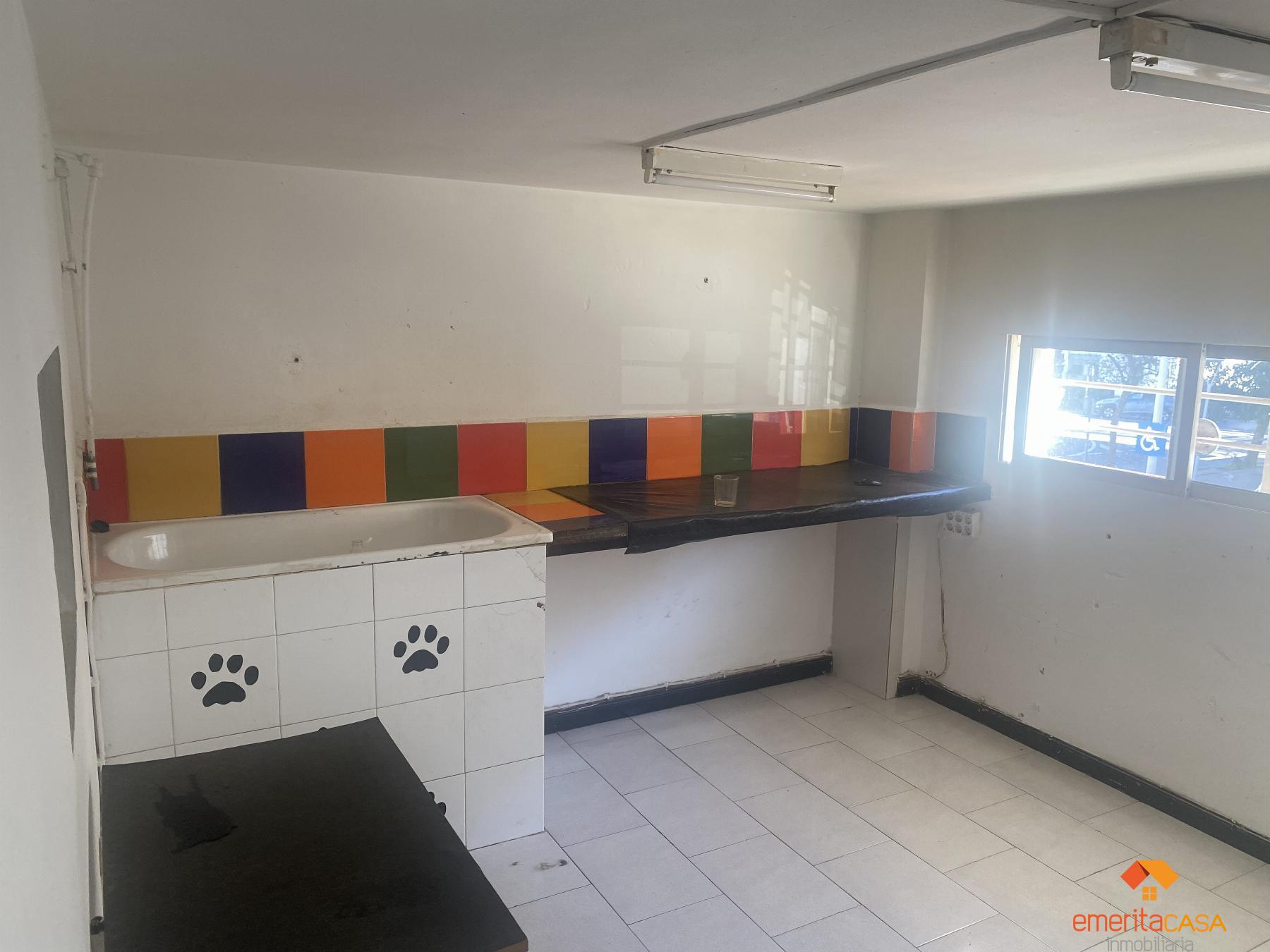 For rent of commercial in Mérida