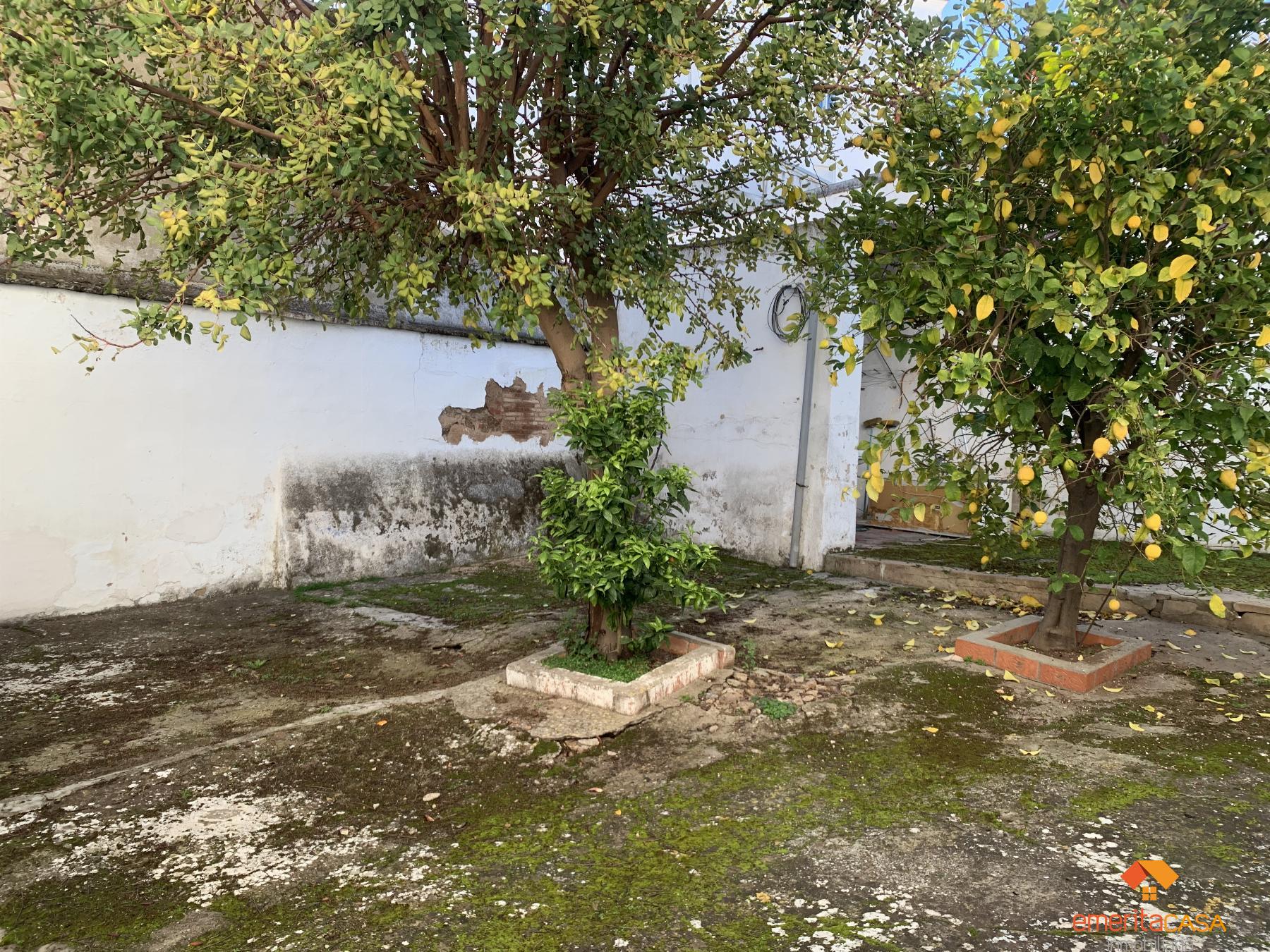 For sale of house in Almendralejo