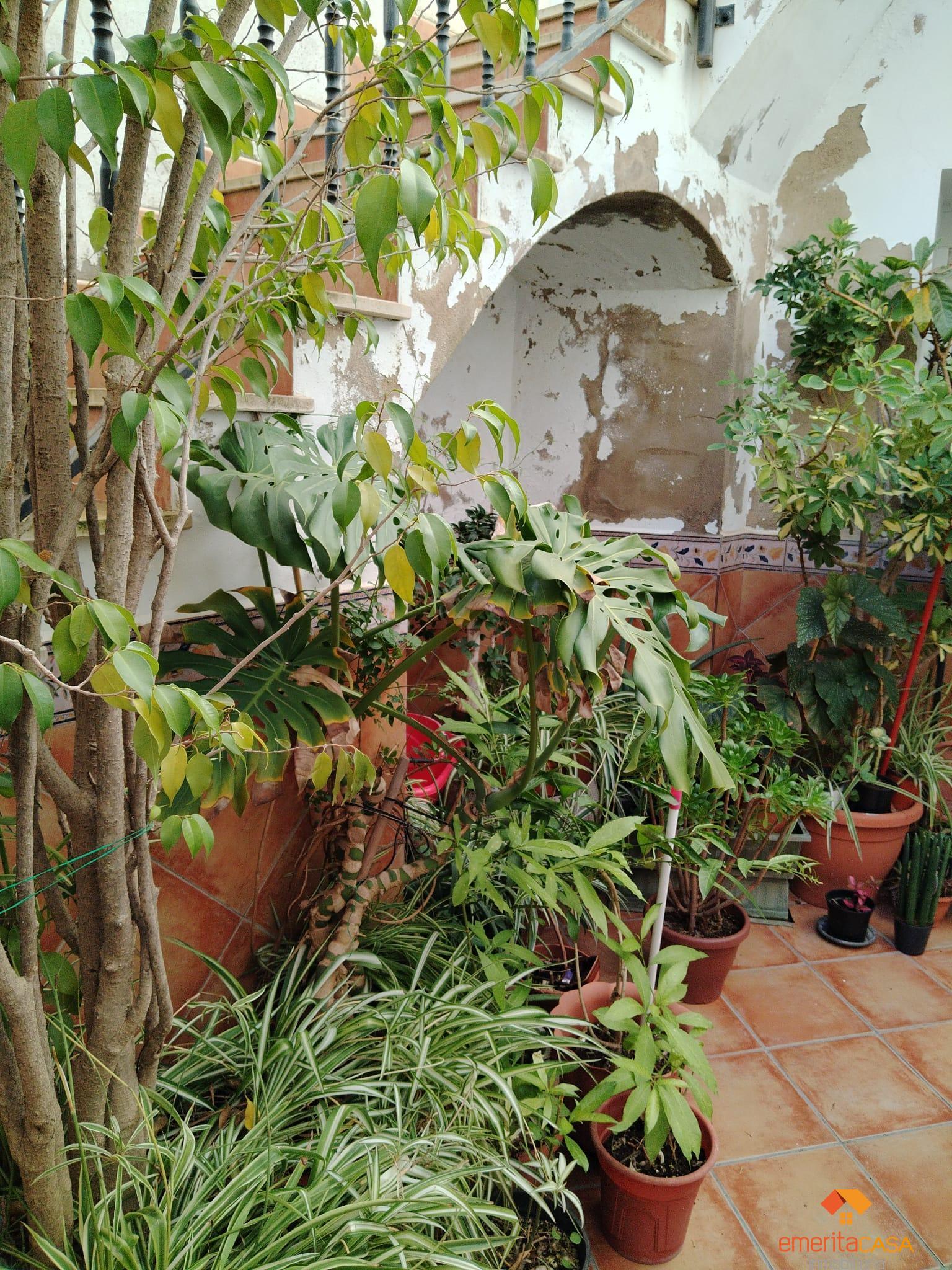 For sale of house in Mérida