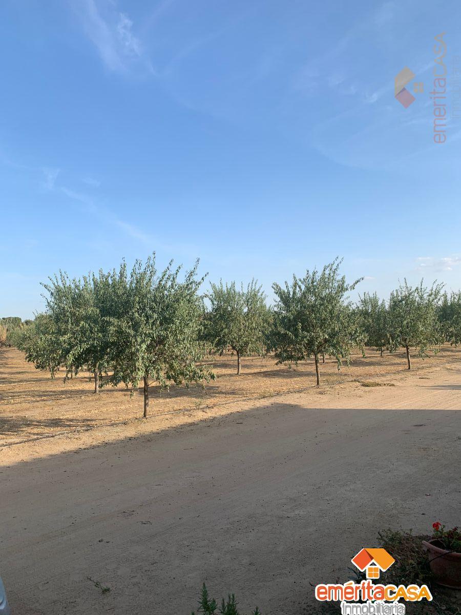 For sale of recreation property in Mérida