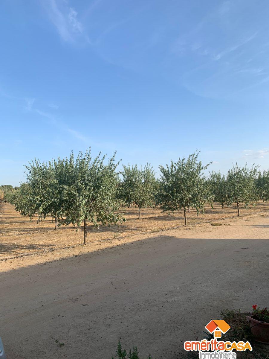 For sale of recreation property in Mérida