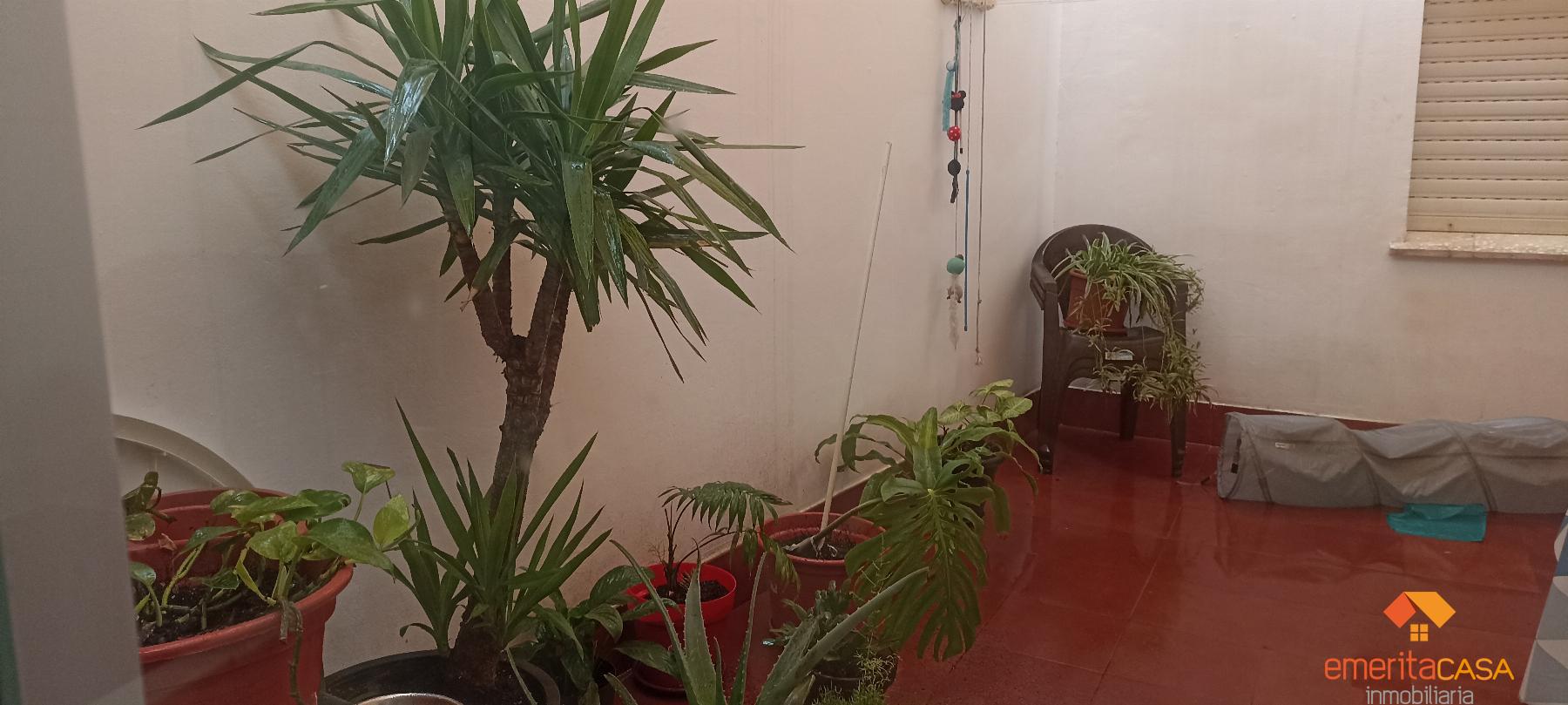 For sale of flat in Almendralejo
