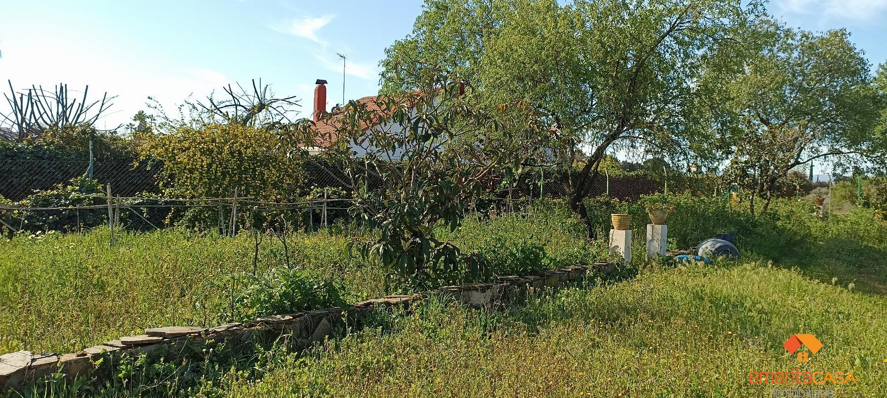For sale of chalet in Almendralejo