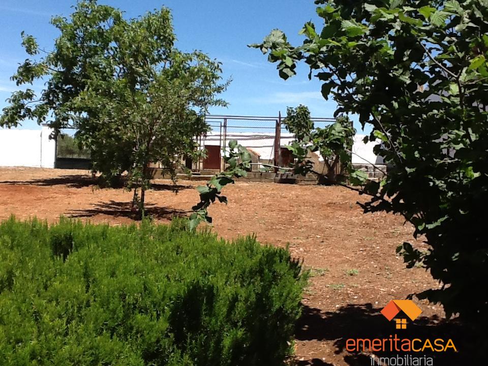Venta de chalet en Almendralejo