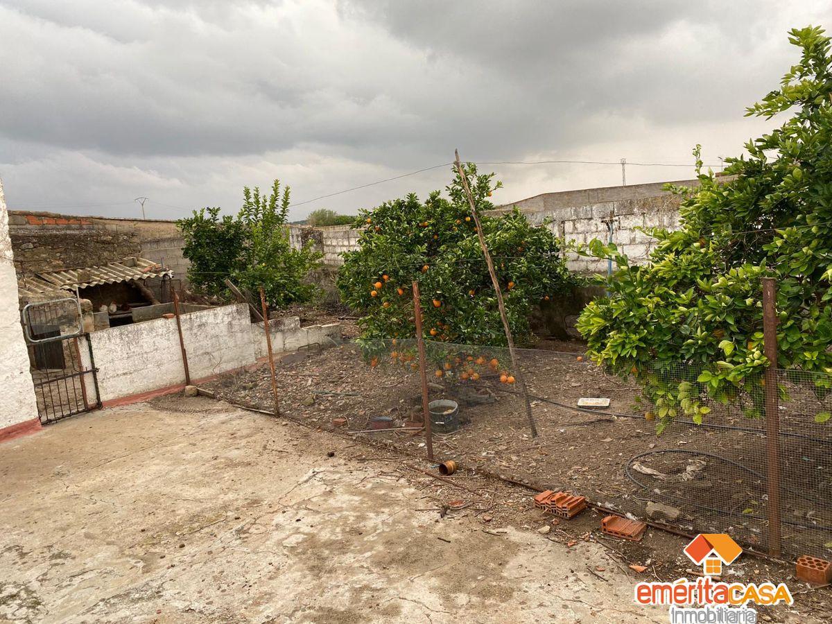 For sale of house in Mirandilla