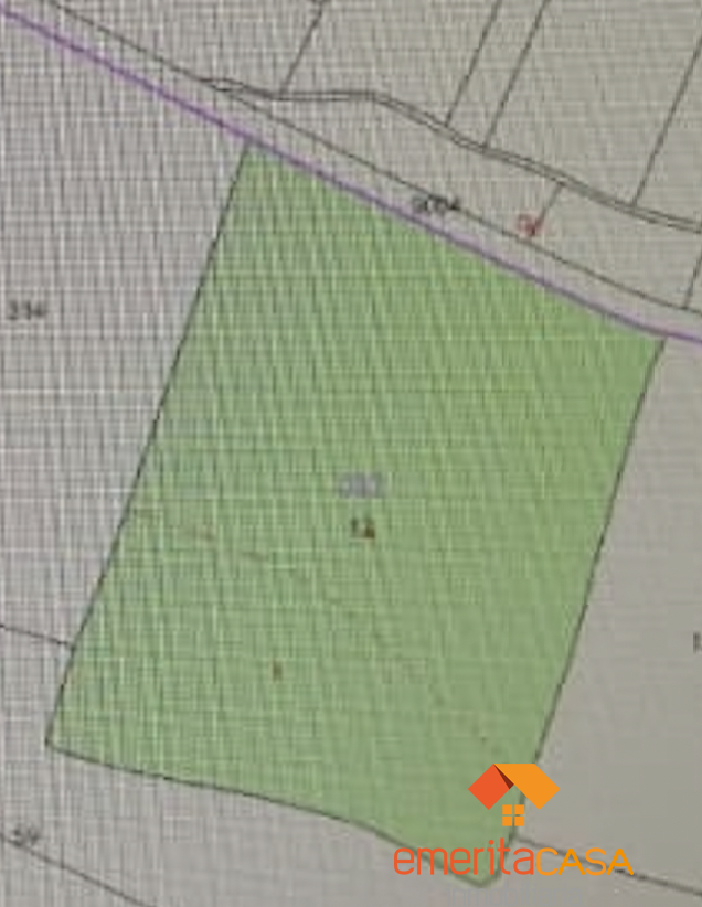 Venta de finca rústica en Castuera